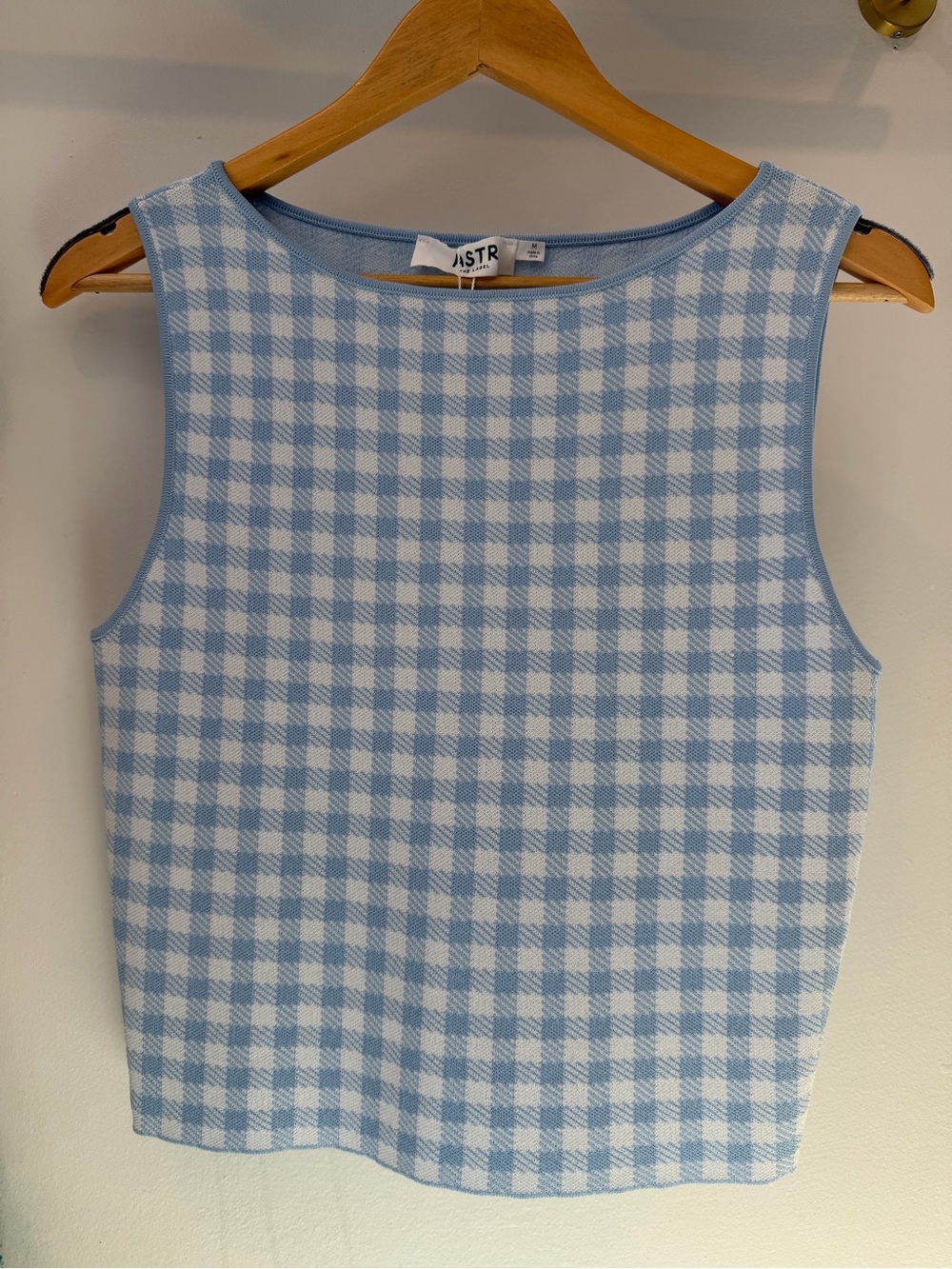 Babbett Blue Gingham Sweater Top |ASTR